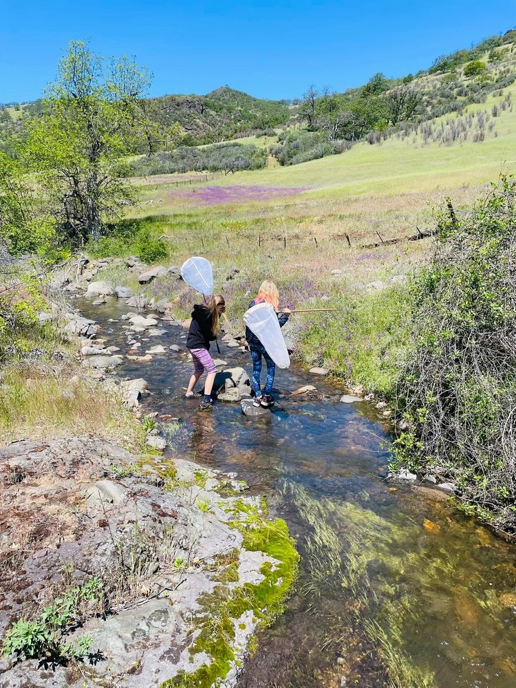 kids fishing