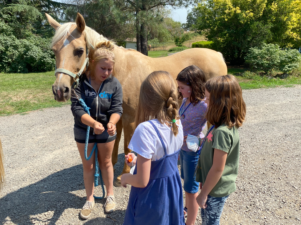 kids with horses 