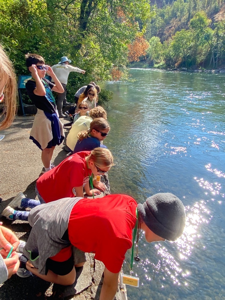 We saw several spawning Coho salmon on the Rogue River! We learned about their life cycle and the importance of salmon in our region  