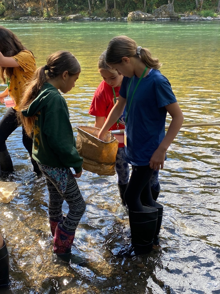 Using dip nets we searched for aquatic macro invertebrates, the food for salmon  