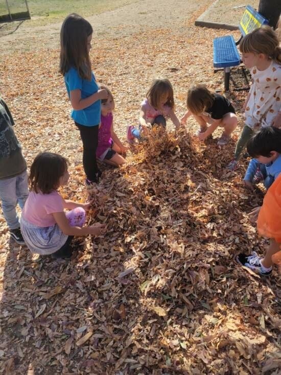 kindergarten playing in the leave at recess 