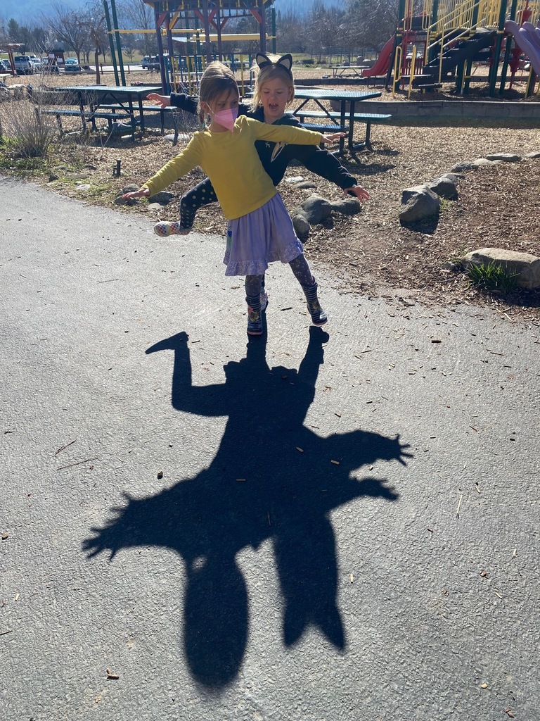 Shadow MOnsters