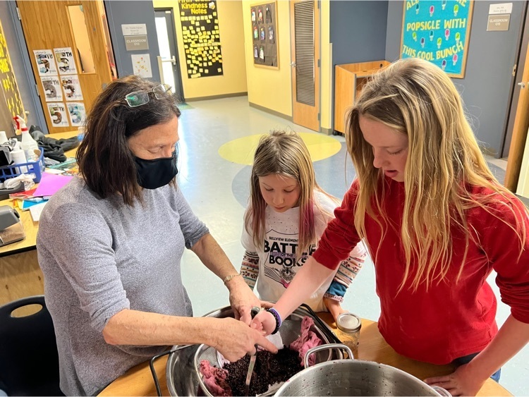 5th grader elderberry syrup project 